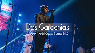 Dos Gardenias - Ibrahim Ferrer Jr. (Orquesta El Legado Bvsc)