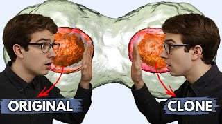 What Happens If We Clone a Human?