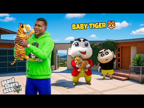 Franklin & Shinchan Found a Baby Tiger 🐯❤️ | GTA 5 Malayalam