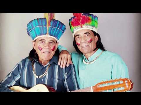 Cacique e Pagé - o chifre do boi soberano