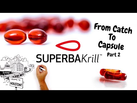 Superba Krill from Catch to Capsule | Part 2