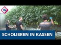 Scholieren vangen tekorten in kassen op: 'Maar het is geen structurele oplossing'