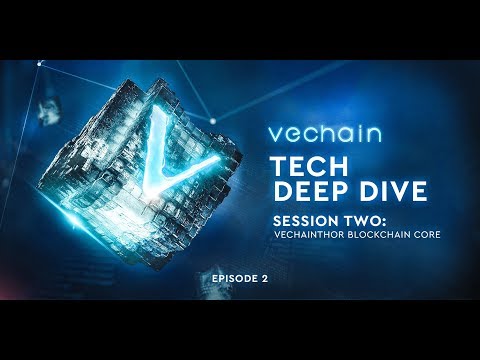 VeChain's Tech Deep Dive Series - Session 2, Episode 2: Enhanced Transaction Model