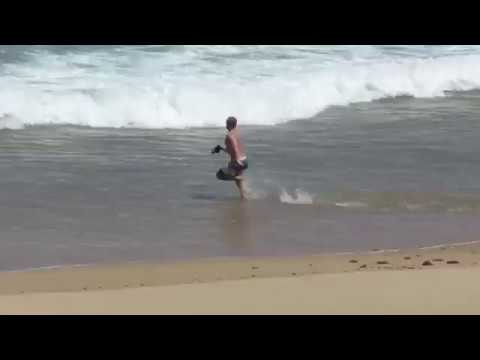 Beach Salmon Dive by Poene