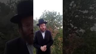 חיזוק יומי כד סיון עז - הרב חלמיש שליט"א