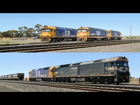 Locomotive Swap For 7731V Grain Train (28/12/2021) - PoathTV Australian Railways