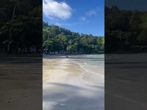 The transition we love. #Vacations