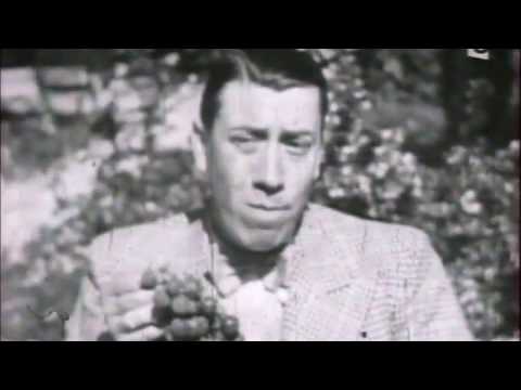Fernandel # 1 (documentaire 1991)