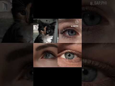 🌸 ...                                                              #music #newmusic #automobile