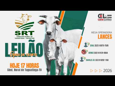 GRANDE LEILÃO GADO DE CORTE SRT LEILÕES | SIND. RURAL DE TAGUATINGA-TO 18/08/2026