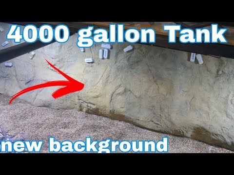 Getting things done at OFR. 