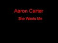 Aaron Carter She Wants Me + Lyrics 
