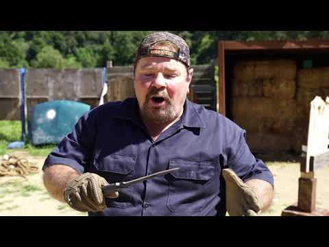 The Drop Forged Wasp