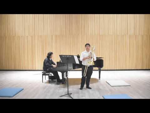 Concerto Allegro by lebedev