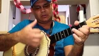 Serenata Huasteca (vihuela tutorial)