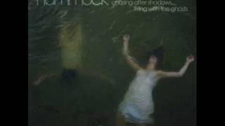 Hammock - How Can I Make You Remember Me?