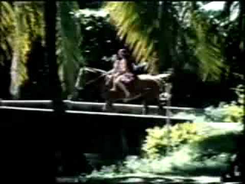 Western Airlines 1981