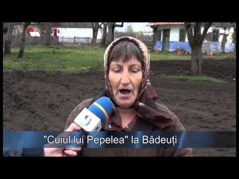 Cuiul lui Pepelea la Badeuti