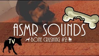 Download lagu ASMR Bone Crunching | Raw Dog Food Mukbang & ASMR #2 mp3 Download lagu ASMR Bone Crunching | Raw Dog Food Mukbang & ASMR #2 mp3