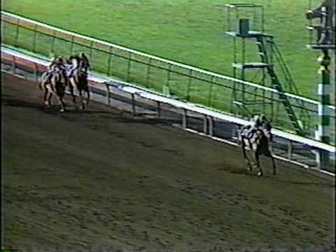 Landaluce - 1982 Anoakia Stakes