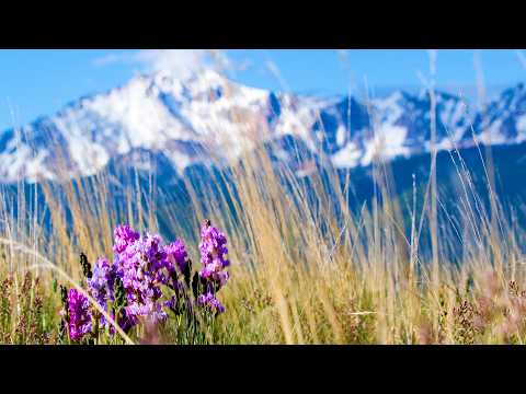 Beautiful Relaxing Music, Peaceful Soothing Music, "Spring in Glacier National Park" By Tim Janis