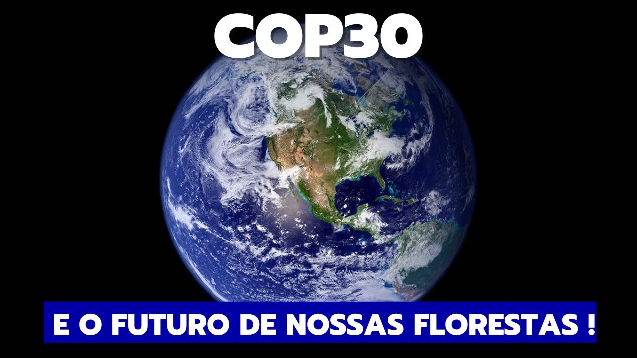 Agricultura Sintrópica. COP 30 e o futuro de nossas florestas!