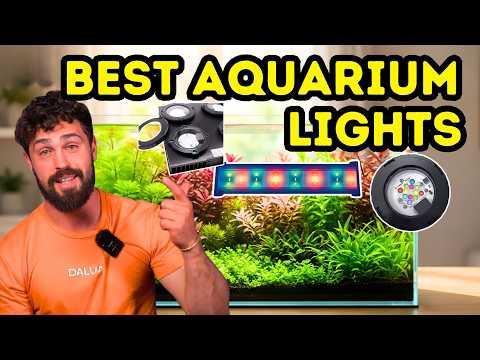 A Guide To Aquarium Lighting | Thriving Planted Tank
