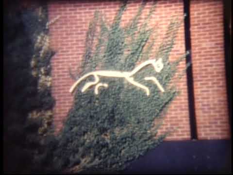 Abingdon various about 1980