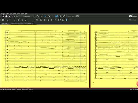 L.V.  Beethoven Symphony No.9 III  Mvt. Op. 125