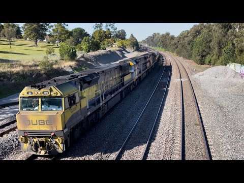 Qube QL009, CF4421 & CF4412 (Black Caviar) with 3WB7 at East Maitland - 24/5/23