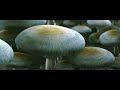 THX Amazing Life Scope 2008 Clear Version 1080p Surround Channels Playing Together