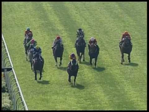 2017-04-01 Macau Meeting Race 4(0210) - THE JAIPUR