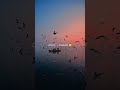 O Bekhabar O Bekadar Lyricsstatus Lyricvideo Slowedandreverb Songstatus Whatsappstatus Shorts