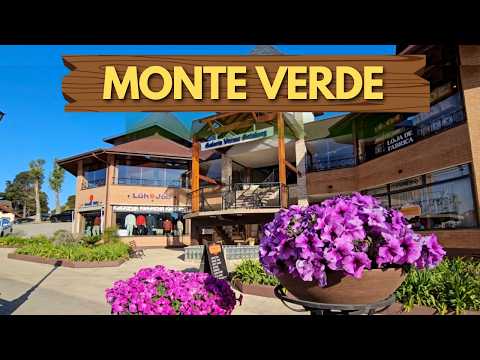 MONTE VERDE MG: GUIA COMPLETO DA SUÍÇA MINEIRA - Sul de Minas Gerais - Tati Marmon 