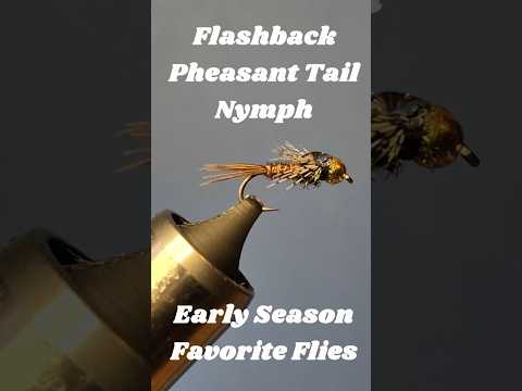 Flashback Pheasant Tail Nymph #flytying #flyfishing