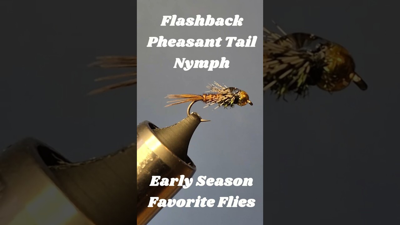 Flashback Pheasant Tail Nymph #flytying #flyfishing