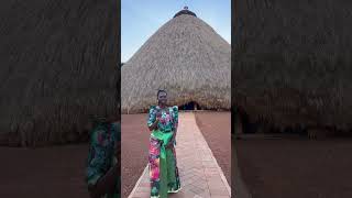 How I became the king’s 87th wife