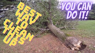 The Best way to clean up a fallen tree