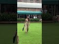Beautiful Geeta Basra Spotted Promoting Her New Show WhosTheBoss GeetaBasra Harbhajansingh Cricket