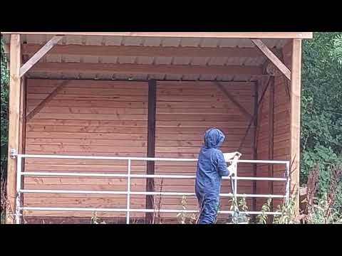 Destruction d'un nid de frelons sans biocide