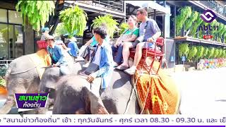 สวนนงนุชพัทยาใจป้ำ! โปรเที่ยว 1 แถม 1 ตลอด มิ.ย. 68