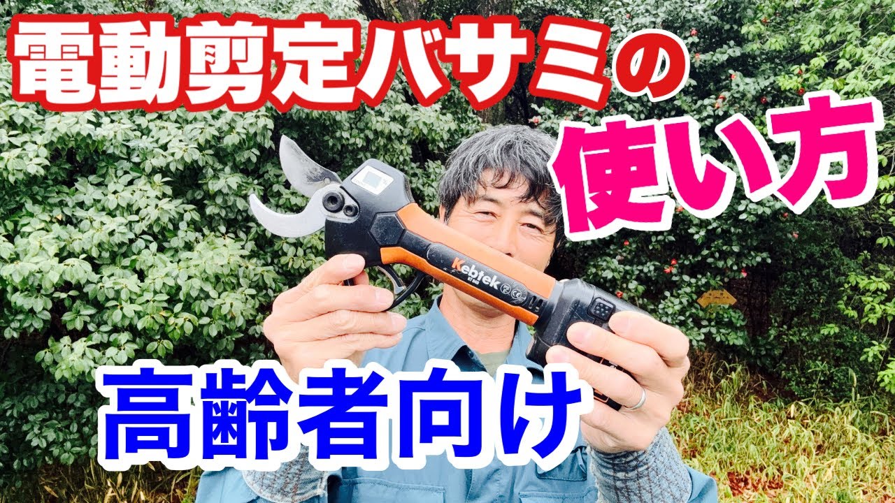 （購入希望者必見）これ程便利な物はない！【電動剪定鋏】