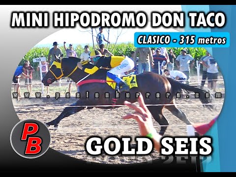 GOLD SEIS: MINI HIPODROMO DON TACO - LOS CERRILLOS (11-12-2022)