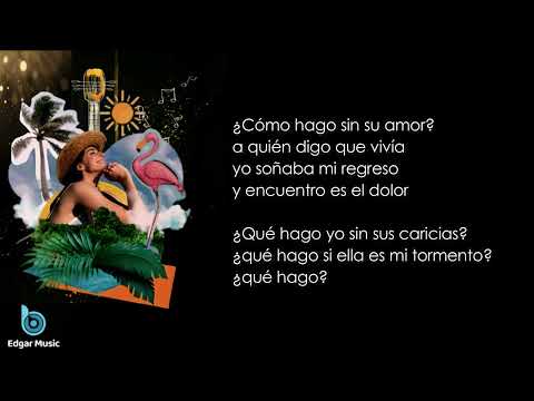 ¿Qué hago sin tu amor?, Los Diablitos del Vallenato, Letra
