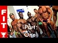 ACCESS ALL AREAS - FITNESS & MUSCLE GUYS, WBFF LONDON, Pt 1 (HD)