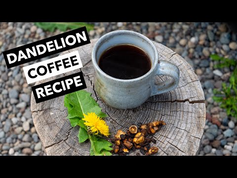 How to Make Dandelion Root Coffee from Scratch | Wild Edibles with Sergei Boutenko Video