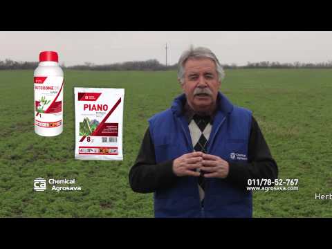 Примена Butoxone i Pianо код луцерке