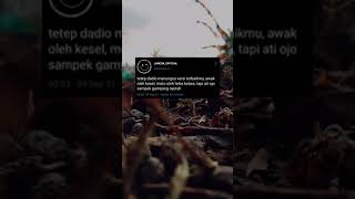 Download lagu story wa || motivasi bahasa jawa mp3