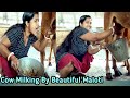 Omg Village Pretty Girl Maloti Milking A Cow At Dairy Farm Drinking Cow Milk