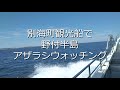 channel